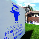 bufalini