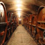 blasi cantine FAI 2