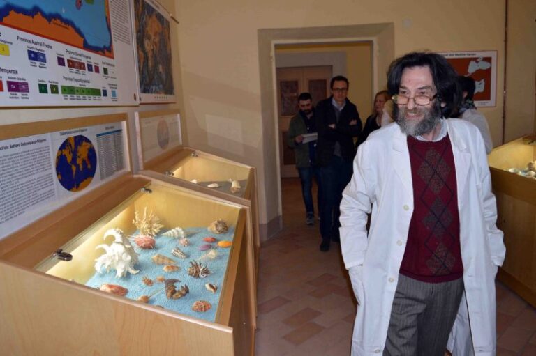 Sabato al museo malakos laboratorio per bambini dedicato alla scoperta dello squalo