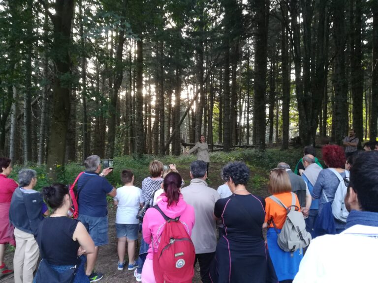 Associazione Culturale MEDEM: pronto il bando per la seconda edizione del festival di monologhi “ECHI NEL BOSCO”