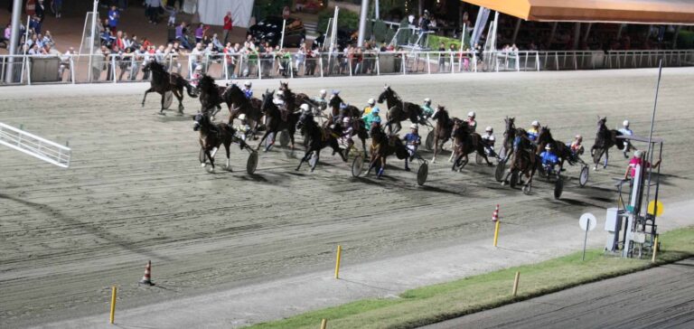 Il cordoglio dell’amministrazione per la Scomparsa del presidente Hippogroup cesenate, Giovanni Carlo Mantellini