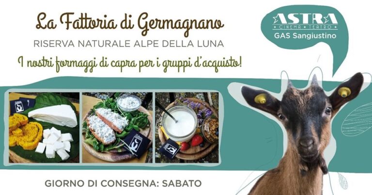 Alla bottega del cinema Astra arrivano i formaggi di capra della La Fattoria di Germagnano