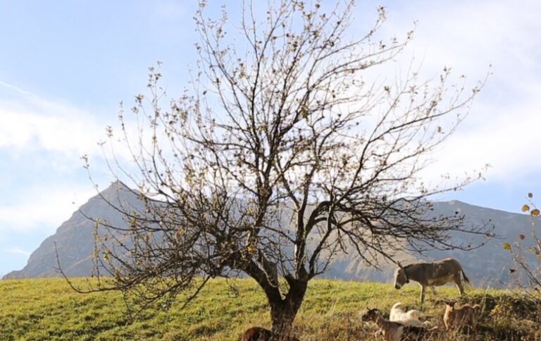 Le terre di tutti: Altrocioccolato dà il via agli eventi itineranti. Si parte da San Giustino con proiezione film e degustazioni equo solidali e Km zero