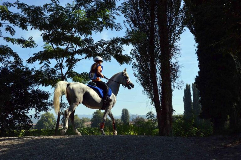 A cavallo lungo il Tevere a prova di Covid-19: domenica 18 ottobre confermata la passeggiata organizzata come evento promozionale per la Mostra Nazionale del Cavallo 2021