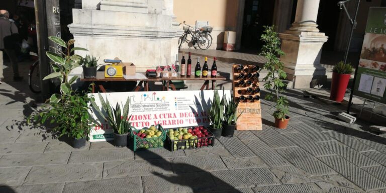 Coltivare, nutrire, preservare. Insieme. Le nostre azioni sono il nostro futuro”. L’international Campus Patrizi Baldelli Cavallotti per la Giornata Mondiale dell’Alimentazione