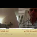 vele città di castello