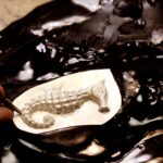 1608630188420_1608630181248_video inghirami 2.jpg