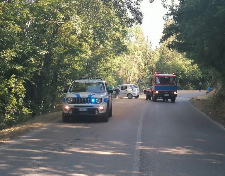 Presenza di grano perso da una macchina agricola sulla carreggiata causa incidente