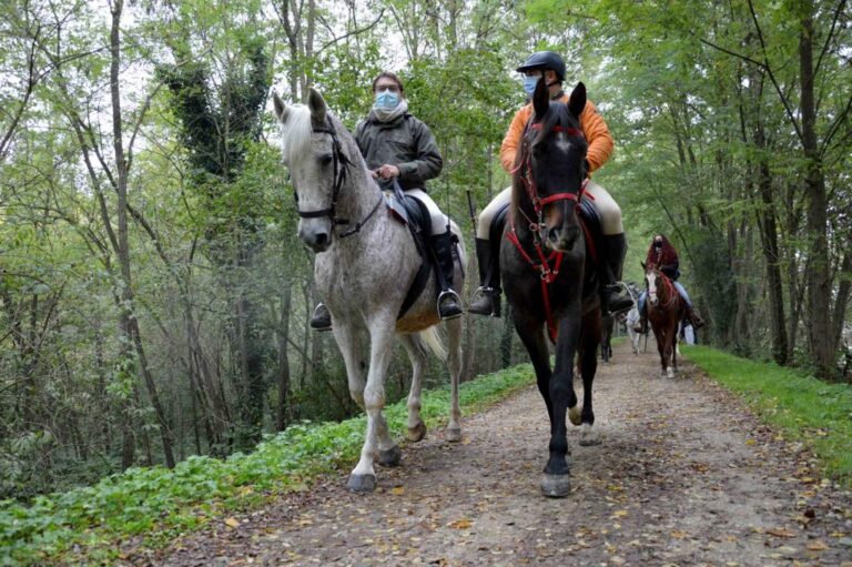 “Gli appassionati vengano ad ammirare i cavalli che attraversano la città”. L’invito del presidente dell’Associazione Mostra Nazionale del Cavallo Cavargini alla vigilia della passeggiata di sabato 4 e domenica 5 settembre
