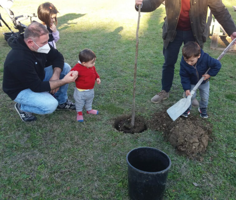 Citerna – Celebrata la “Giornata dell’Albero”. Il Comune aderisce alla campagna di sensibilizzazione verso la tutela dell’ecosistema e festeggia i nuovi nati