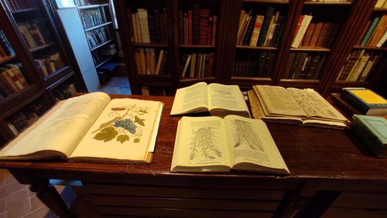 Citta’ di Castello: al museo Malakos disegnatori naturalisti di ieri e di oggi