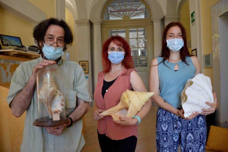 Per due settimane Città di Castello e il museo delle conchiglie, “Malakos” saranno la capitale mondiale della malacologia