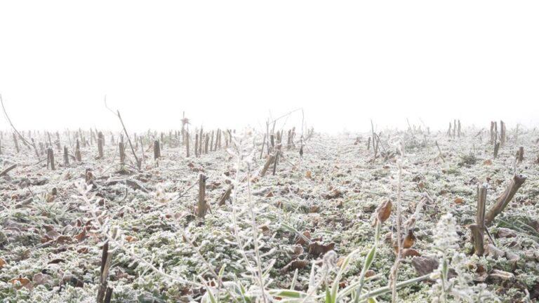 Per ricordare ciò che non può essere dimenticato: un video nei luoghi cittadini per la Giornata della Memoria di Città di Castello