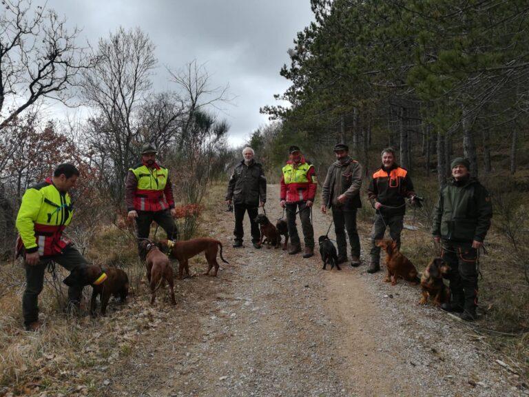Peste suina: Coletto, “avviate le simulazioni per la ricerca delle carcasse, massima attenzione della Regione” 