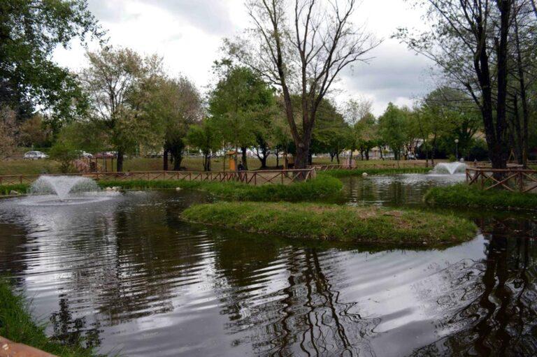 Decoro urbano e valorizzazione delle risorse ambientali obiettivi della nuova gestione del verde pubblico: via al censimento arboreo delle circa 7 mila piante presenti nelle oltre mille aree del territorio comunale