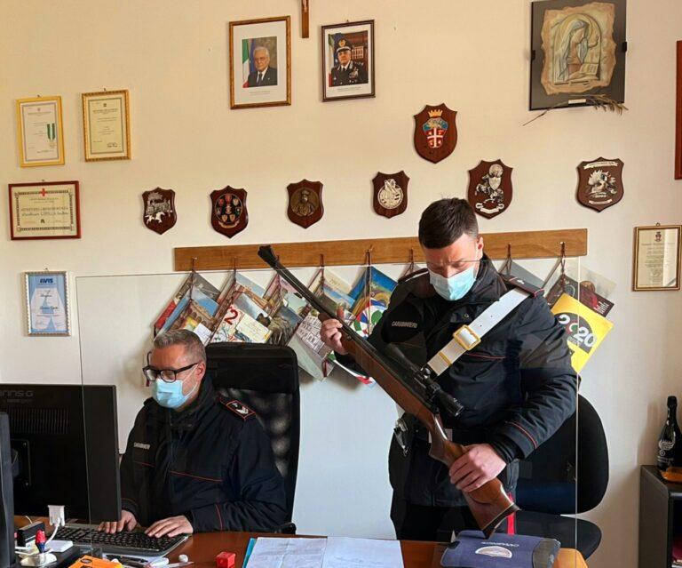 Gatto ucciso a colpi di fucile a Terranuova Bracciolini, trovata arma e responsabile  