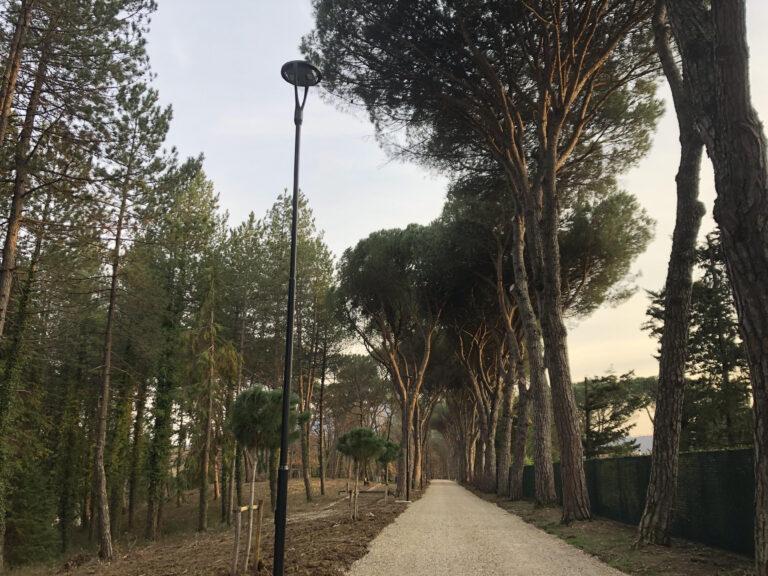 Pineta Ranieri, arrivano 23 lampioni per la fruizione in tutta sicurezza dell’area verde anche nelle ore serali