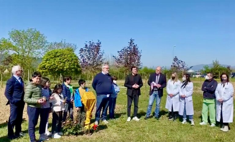 Ospedale Città di Castello, donato un boschetto di betulle