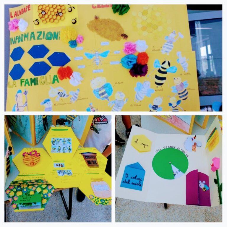 Giornata mondiale delle api:  il Soroptimist club Sansepolcro ringrazia alunni ed insegnanti per il lavoro svolto in occasione del centenario