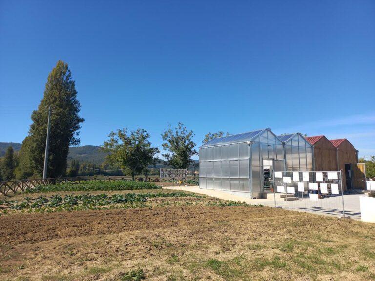 Nuova serra comunale destinata ai disabili, venerdì 1° luglio si celebra il primo anno di attività 