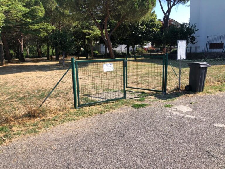 Provvedimenti per la tutela dell’igiene pubblica, il decoro e la pulizia dei luoghi pubblici, scatta l’obbligo di raccolta delle deiezioni canine, si rischiano multe pesanti