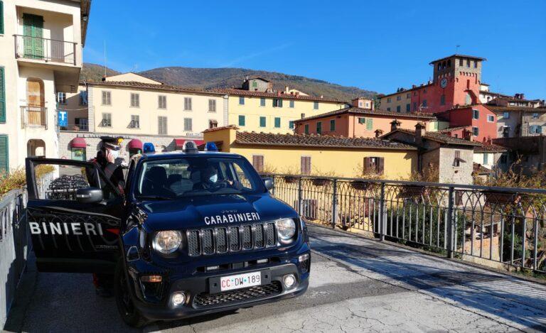 Truffe ONLINE sotto la lente d’ingrandimento dei Carabinieri: identificato e denunciano l’autore di una truffa con la tecnica del Pishing e l’ennesimo truffatore di Pellet
