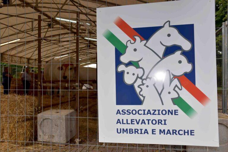 Allevamenti sostenibili, salvaguardia e tutela della biodiversità: sono le proposte emerse nel corso della due giorni della Mostra Zootecnica di San Bartolomeo 