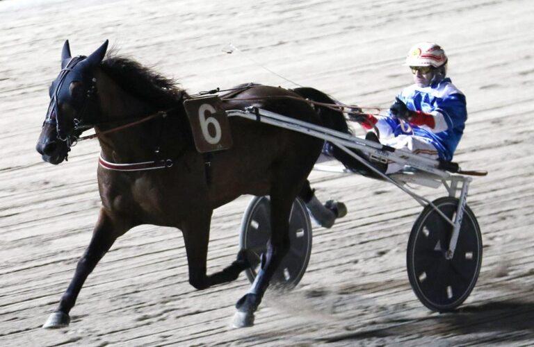 Oltre mezzo secolo di Mostra del cavallo e 100 anni dell’ippodromo di Cesena celebrati con una serata di corse al trotto interamente dedicata all’altotevere 