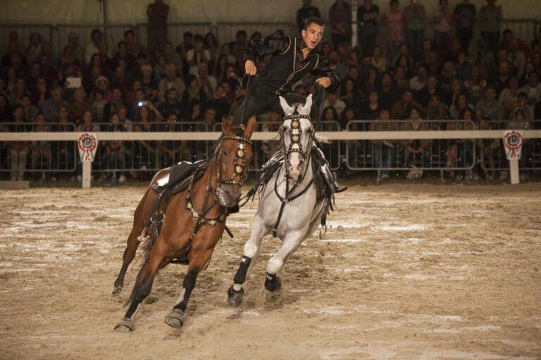 A Città di Castello gli artisti che fanno sognare il pubblico di tutta Europa: sabato 10 e domenica 11 settembre appuntamento con “Polvere di Stelle”, il gala equestre della Mostra Nazionale del Cavallo firmato da Nico Belloni, unico evento a pagamento dell’edizione 2022