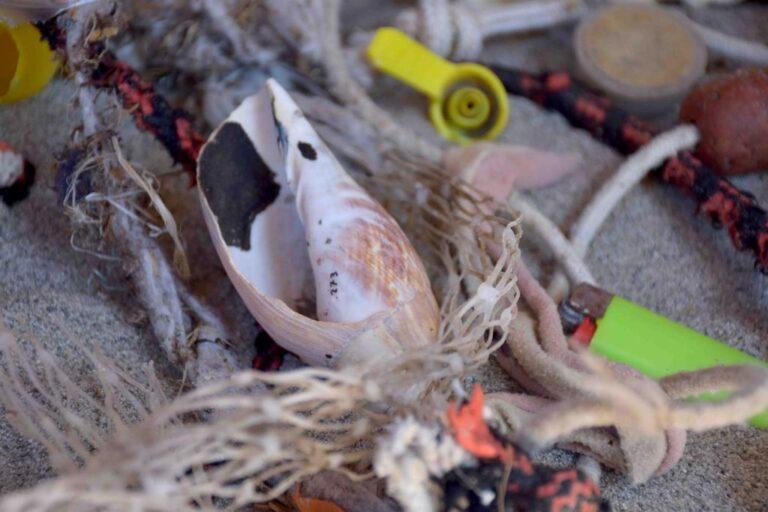 “Sensory Exhibition: anche una conchiglia macchiata dal “catrame” ritrovata nel mare della Terra del Fuoco oltre mezzo secolo fa in vetrina accanto ad altri oggetti in plastica, bottiglie, accendini, contenitori e rifiuti simbolo dell’inquinamento ambientale