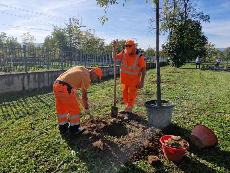 5 alberi per il giardino della scuola Centofiori di Sansepolcro 