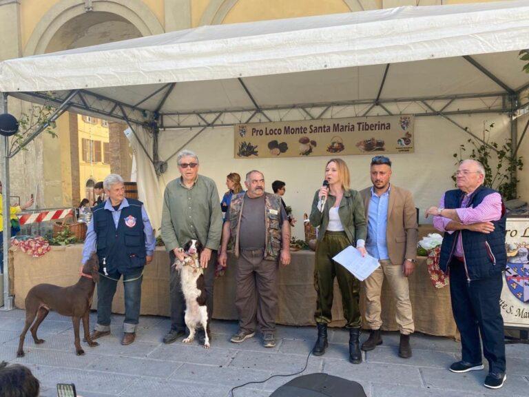 Oltre 70 cani campioni del fiuto accompagnati dai loro proprietari hanno partecipato alle gare di ricerca e cavatura del tartufo su ring nello scenario mozzafiato del parco langer a ridosso del centro storico