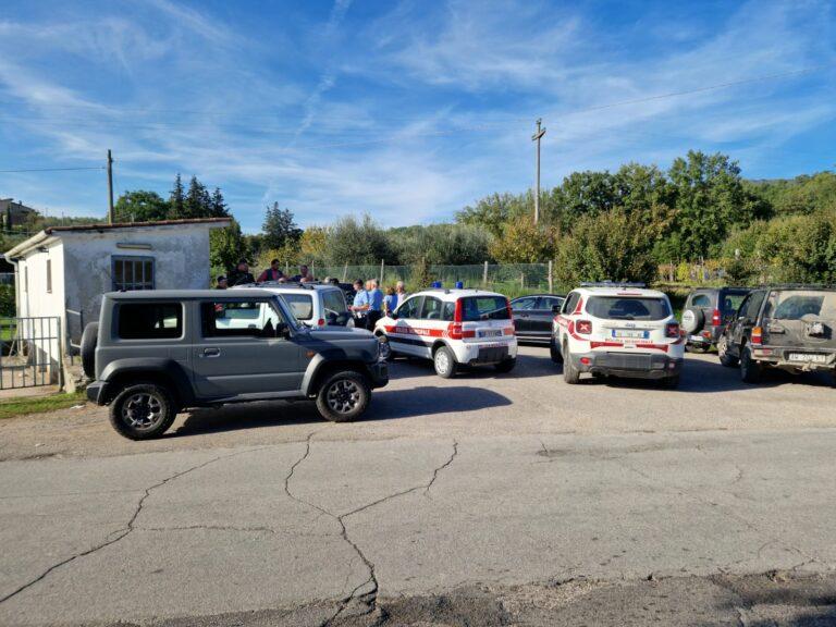 Cinghiali in zona San Paolo a Sansepolcro, il comune si è attivato per scacciarli