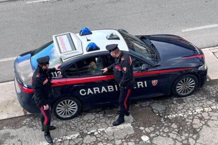 Carabinieri intervengono per salvare un cane che vagava spaventato lungo la E45, tutto risolto senza alcuna conseguenza