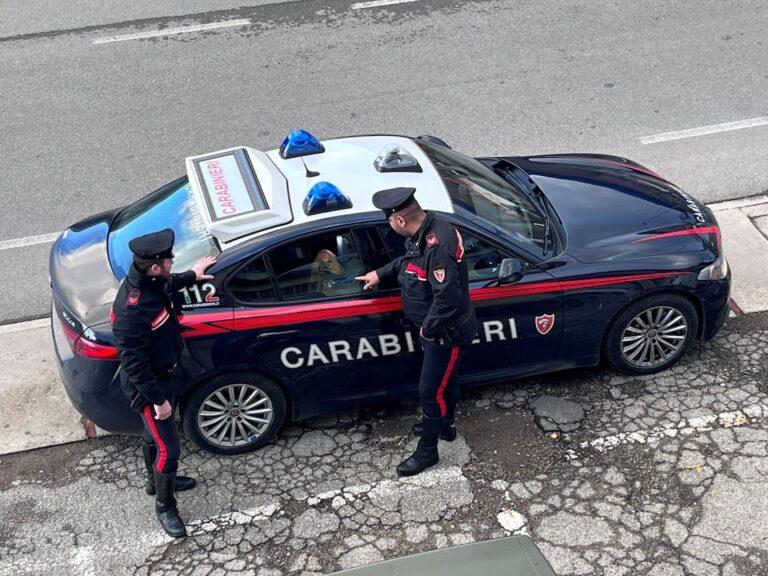 Carabinieri intervengono per salvare un cane che vagava spaventato lungo la E45, tutto risolto senza alcuna conseguenza