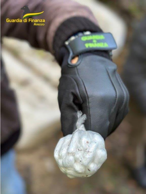 Guardia di Finanza: sequestrata eroina in un’area boschiva vicino a Montevarchi