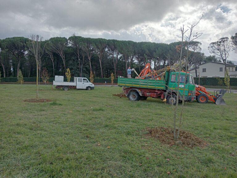 Terex dona nuovi alberi al Comune di Umbertide per rendere ancora più verde la città 