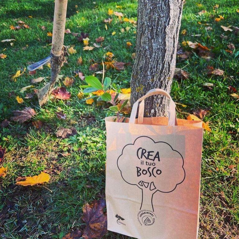 Giornata nazionale dell’albero: sabato 26 novembre alle ore 10, presso il parco di Fighille, cerimonia con bambini nati nel 2021 e genitori