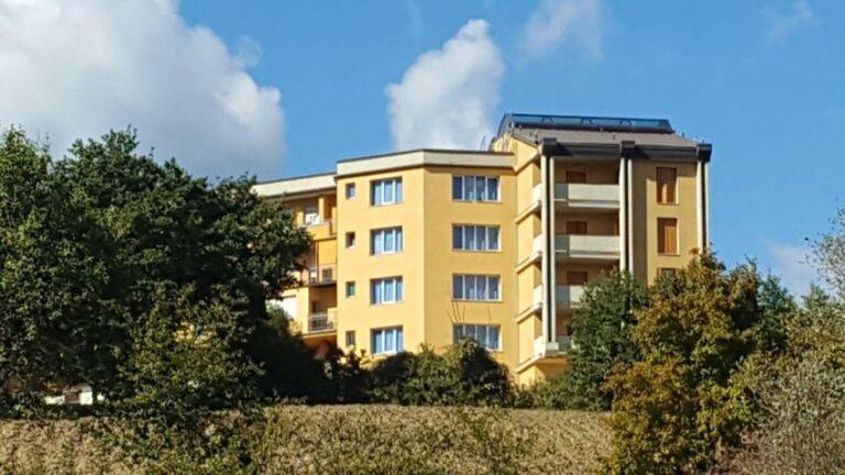 <strong>A Pieve S. Stefano il 22 dicembre si discute di Olivo Morcone e Gentile della Valtiberina e varietà antiche a rischio di estinzione</strong>