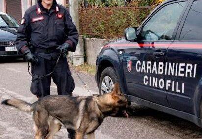 Carabinieri, indagine lampo: due arrestati, un denunciato e mezzo chilo di sostanze stupefacenti sequestrate
