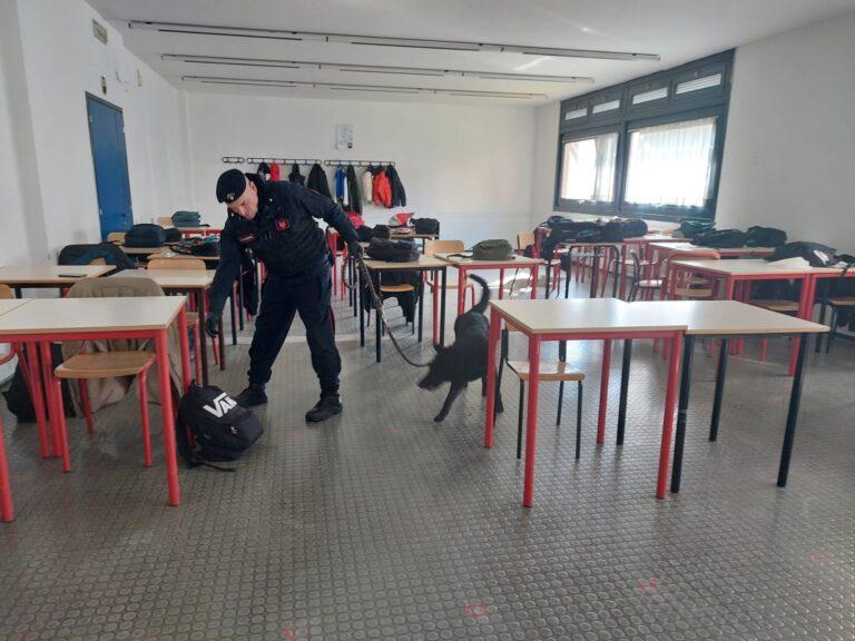 Continua l’azione dei Carabinieri per la prevenzione e repressione del consumo e spaccio di stupefacenti tra i giovani