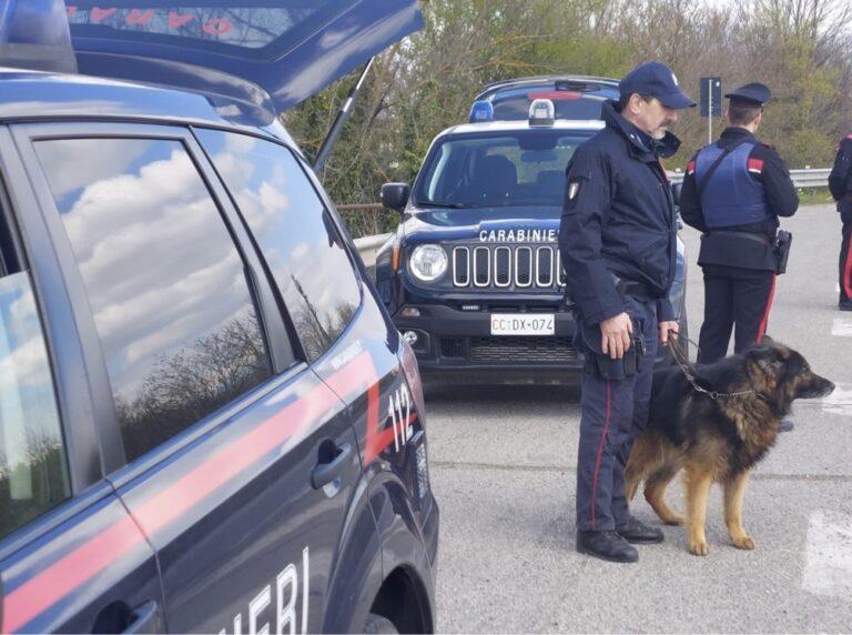 I Carabinieri di Arezzo in azione per la repressione del consumo e spaccio di stupefacenti nelle aree maggiormente degradate del comprensorio. Un arresto e due denunce.