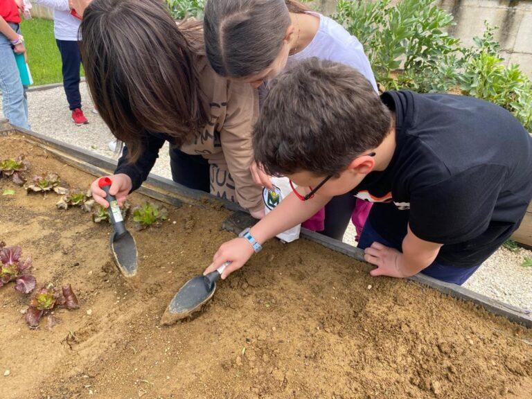 Gli alunni della scuola primaria “G. Di Vittorio” incontrano Cristiano Baiocco, agronomo dei Molini Popolari Riuniti: un percorso di educazione e sostenibilità ambientale