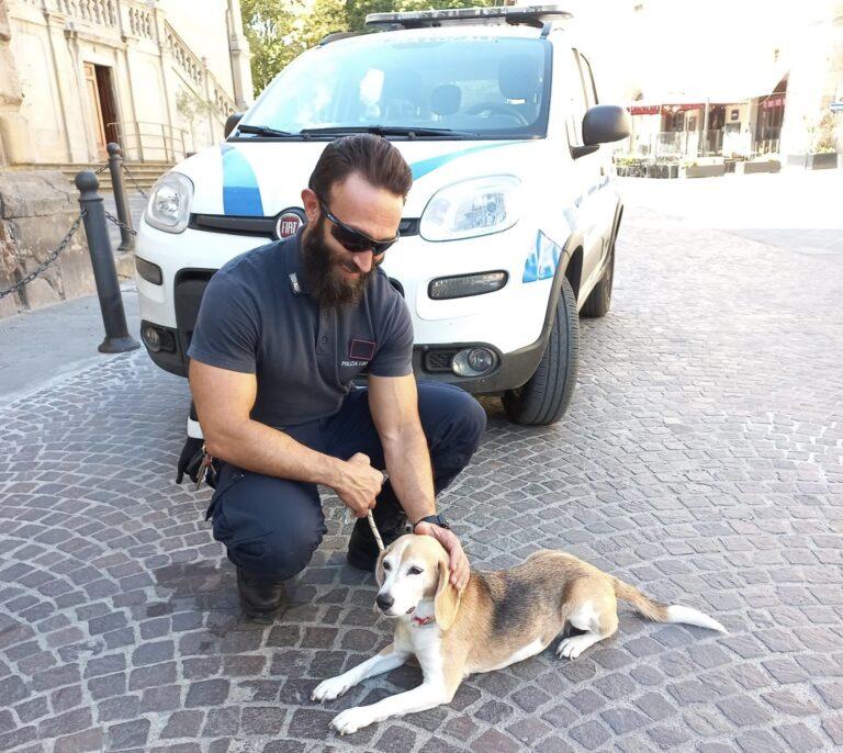 Bella storia a “quattrozampe” a lieto fine