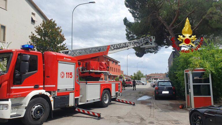 Rami pericolanti causa maltempo, necessario l’intervento dei Vigili del Fuoco