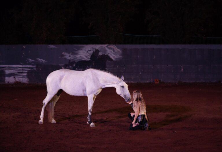 Cavalli “anti-violenza”, ambasciatori di pace e rispetto, Città di Castello  ieri sera ha detto no alla violenza sulle donne e al bullismo