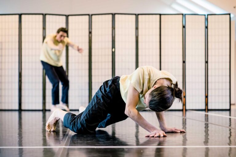 How to perfectly hide, di Chiara Taviani, Venerdì 10 novembre al Teatro alla Misericordia  a Sansepolcro