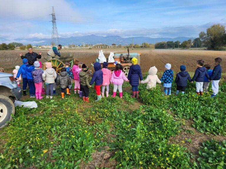 “Dal chicco di grano al pane e quant’altro”, la scuola dell’infanzia Piosina con il progetto di plesso offrirà ai bambini degli spunti di riflessione e arricchimento intorno alle tradizioni del proprio territorio