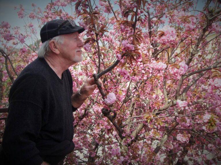 Sabato 23 dicembre a Citerna la mostra di acquarelli di Luigi Falasconi, dedicati ai cammini di San Francesco