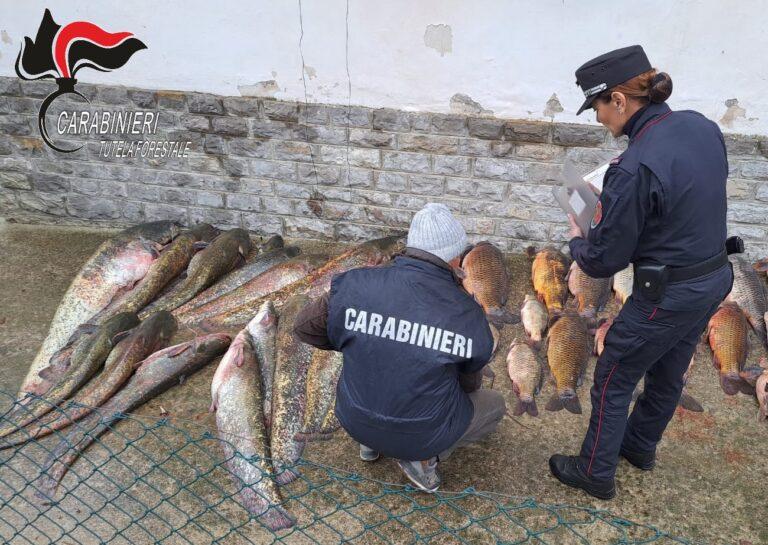 Carabinieri Forestale “Umbria”, l’attività operativa del 2023